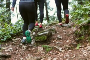 Healthy habits daily exercise walking in the forest daily exercise