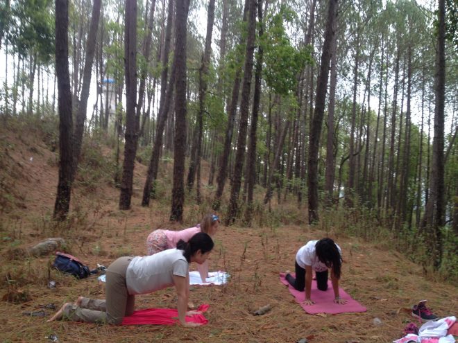 narissa child of the earth teaching forest yoga nepal cat pose